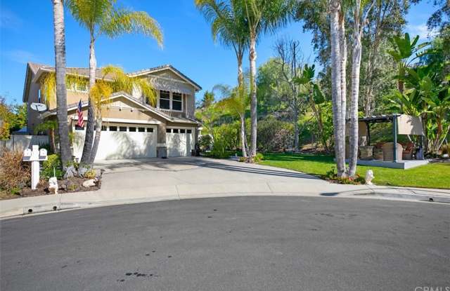 1 Prospector Court - 1 Prospector Court, Coto de Caza, CA 92679