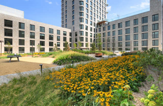 1515 Surf photos photos