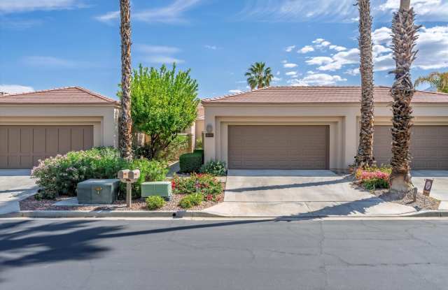 80679 Oak Tree photos photos