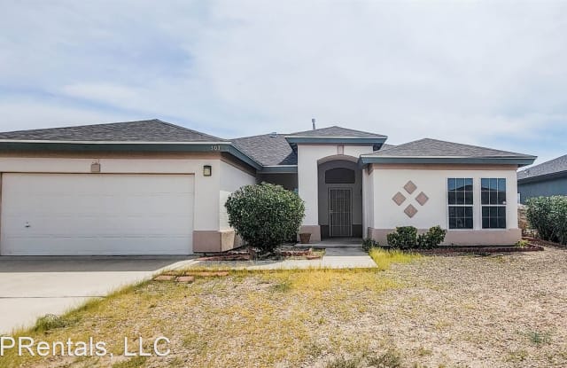 3078 Bariloche Dr - 3078 Bariloche Drive, Anthony, TX 79821