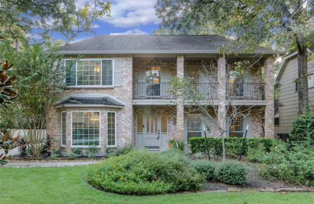 5 Postvine Court - 5 Postvine Court, The Woodlands, TX 77381