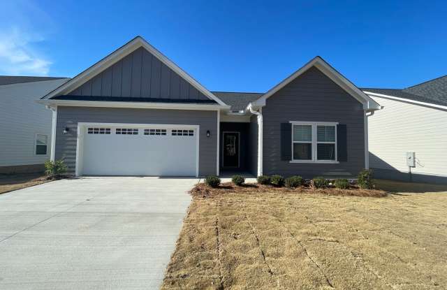 Brand New 3/2 House in Celanese- $1,995 - 40 Dogwood Street Northeast, Floyd County, GA 30161