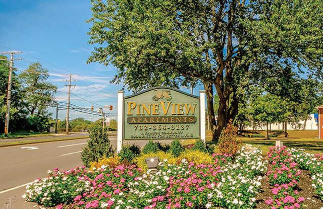 Pineview photos photos