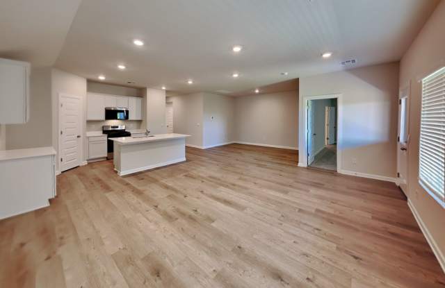 LUXURY Brand New 4 Bed 2 Bath Home in Piedmont Schools (With Neighborhood Park and Pickleball Court) Gallery 4