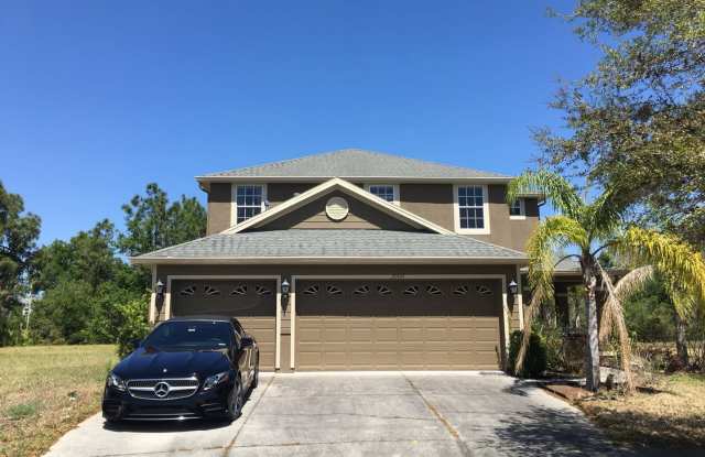 20617 Whitebud CT - 20617 Whitebud Court, Pebble Creek, FL 33647