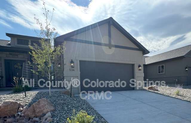 504 Brecken Court - 504 Brecken Court, Woodland Park, CO 80863