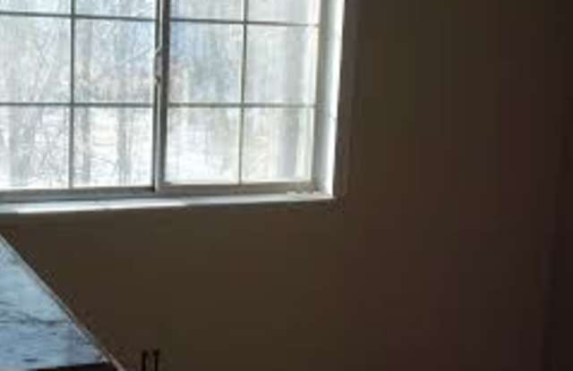 8673 Hickory Ridge Court Gallery 2