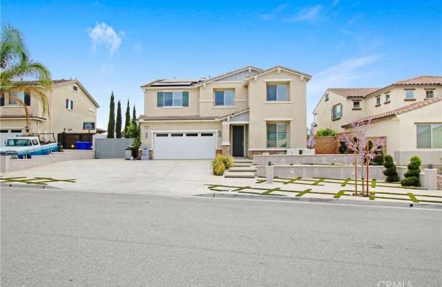 7719 Poppy photos photos