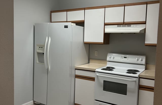 6411 Hollydale Pl - 6411 Hollydale Place, Riverview, FL 33578