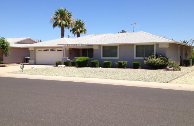 10320 W DESERT ROCK Drive - 10320 West Desert Rock Drive, Sun City, AZ 85351