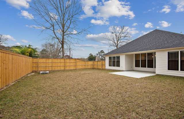 Beautiful 3 bedroom 2 bath home - 16553 Villa Brielle Avenue, Shenandoah, LA 70817