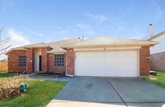 301 Sun Meadow Lane - 301 Sun Meadow Lane, Fort Worth, TX 76140