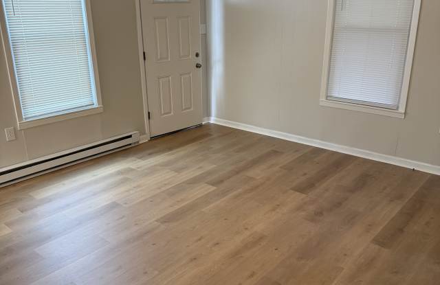 422 W Pine St - 422 West Pine Street, Johnson City, TN 37604