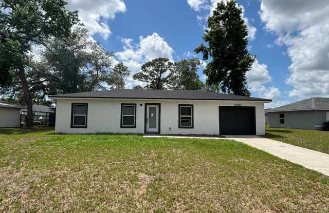 LIKE NEW DESIGNER HOME 3/2 READY FOR NEW FAMILY photos photos