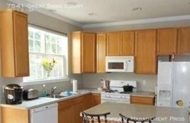 7541 Great Swan Court Gallery 3