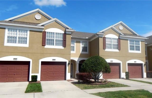10219 WESTPARK PRESERVE BOULEVARD - 10219 Westpark Preserve Blvd, Citrus Park, FL 33625