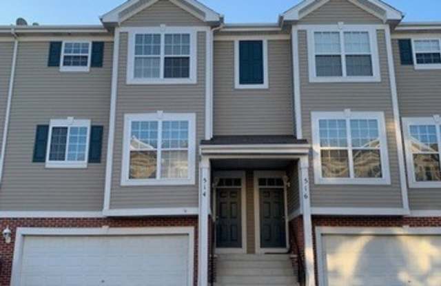 514 Declaration Lane - 514 Declaration Lane, Aurora, IL 60502