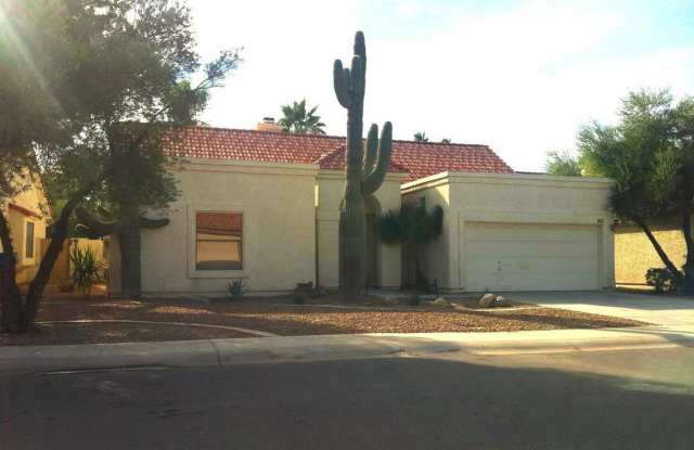 GILBERT HOME WITH PRIVATE POOL WALKING DISTANCE TO FREESTONE PARK photos photos GILBERT HOME WITH PRIVATE POOL WALKING DISTANCE TO FREESTONE PARK photos photos