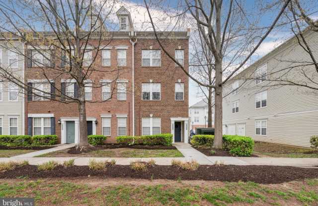 42461 ROCKROSE Square photos photos