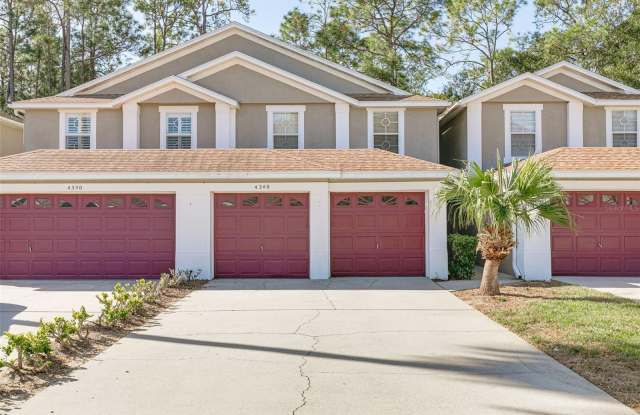 4348 BROOKER CREEK DRIVE Gallery 2
