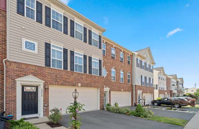 22892 CHESTNUT OAK TERRACE Gallery 2