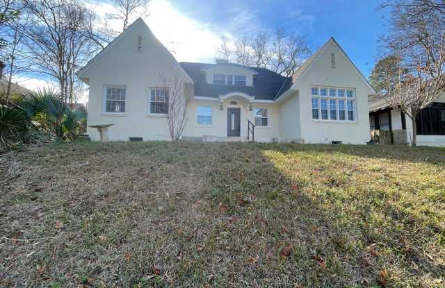 Highland Charmer! Come see Today! photos photos