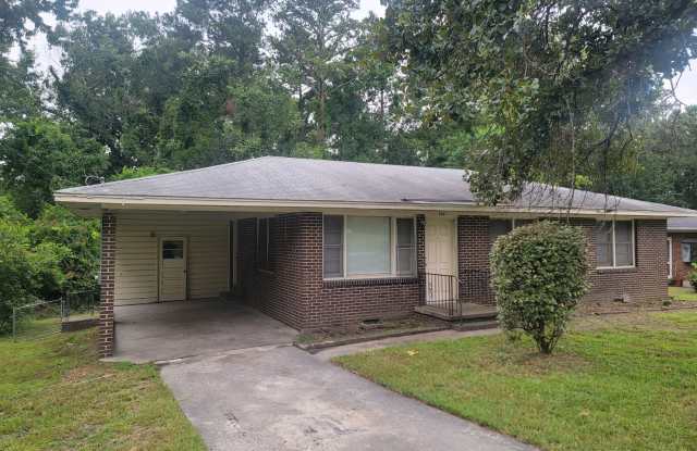Augusta - Richmond County Gallery 3