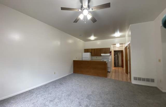 217 W Cross Street unit: 1 photos photos