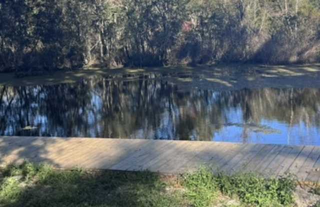 7291 East Turner Camp Road - B Gallery 3