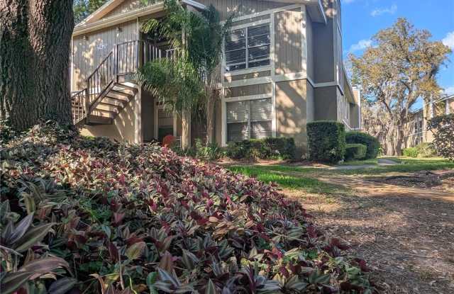 14317 HANGING MOSS CIRCLE photos photos