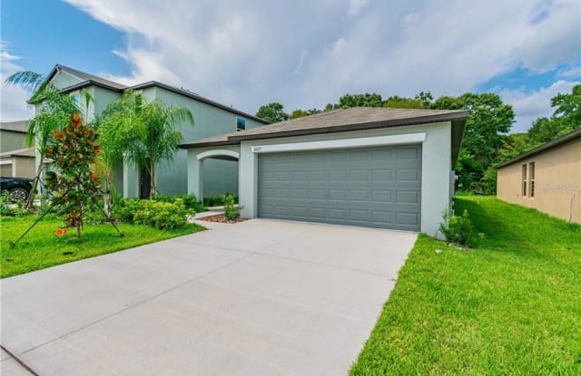 10631 SWEET SAPLING STREET - 10631 Sweet Sapling St, Riverview, FL 33578