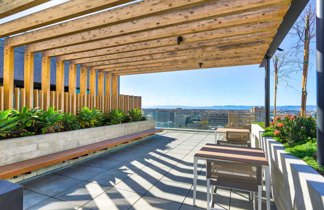 1150 Clay Gallery 4
