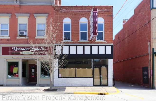 213 1/2 Liberty St Unit #2 - 213 1/2 Liberty St, Morris, IL 60450