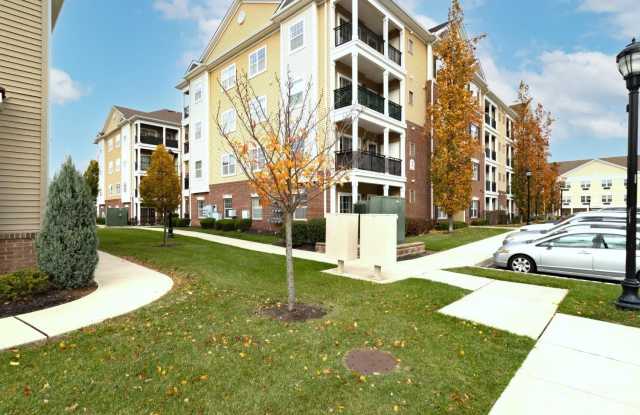 541 E Celebration Way photos photos