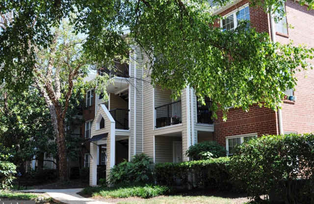 3306 WYNDHAM CIR #331 photos photos