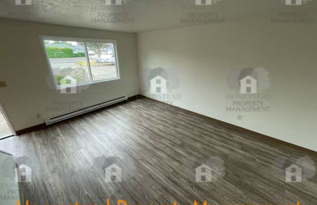 255m Gallery 4
