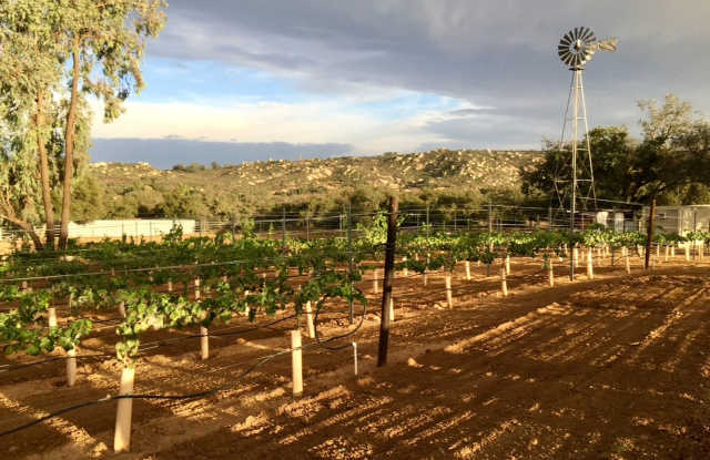 Unique opportunity! 3 BR 2.5 BA Farm-ranch for rent on 4 acres photos photos