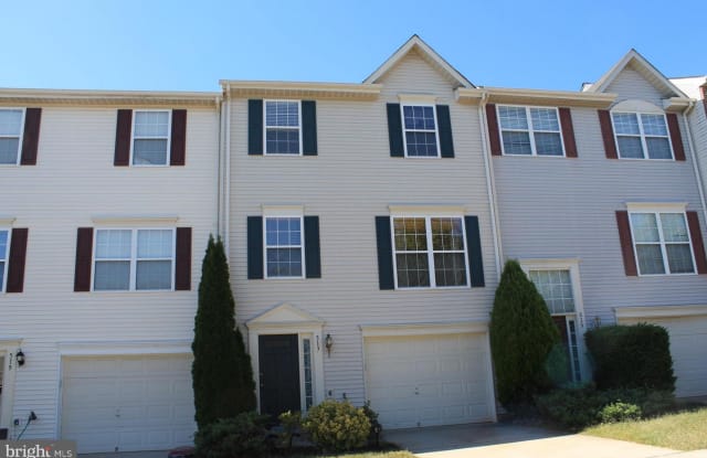 517 GINKGO TER NE - 517 Ginkgo Terrace Northeast, Leesburg, VA 20176