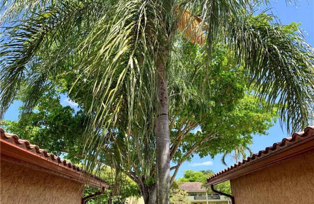 3784 Coral Springs Dr Gallery 3