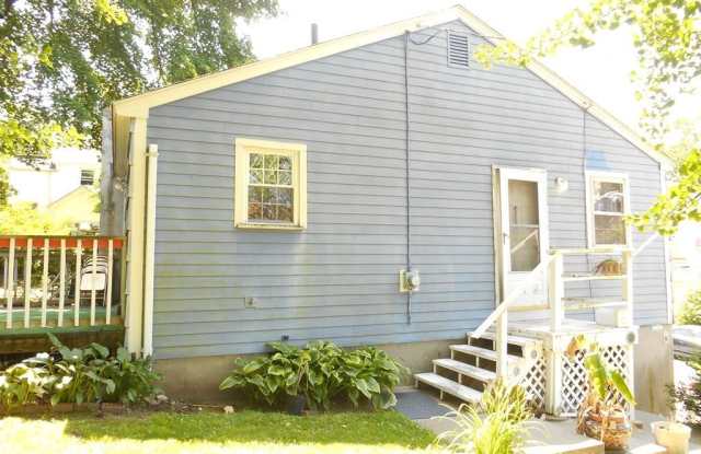 8 Proctor Street photos photos