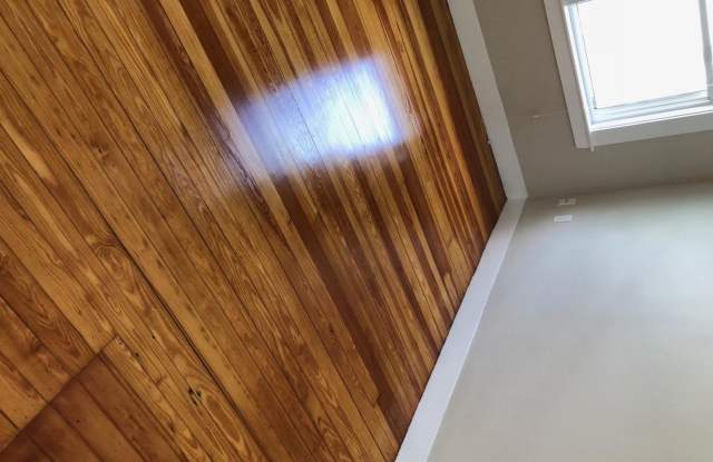 Large 3 bed in Waltham photos photos