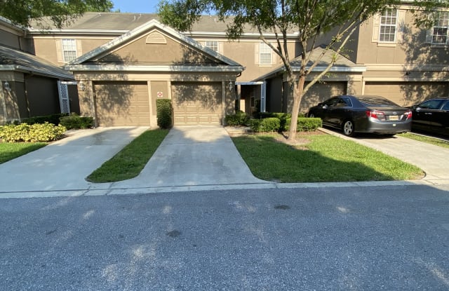 4241 Key Thatch Dr - 4241 Key Thatch Drive, East Lake-Orient Park, FL 33610