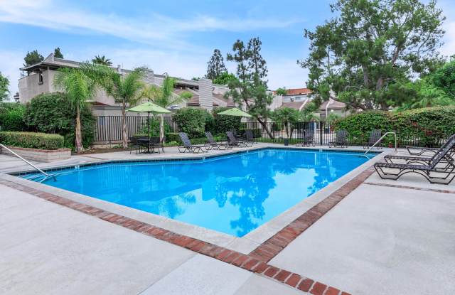 The Terrace Apartments Gallery 3