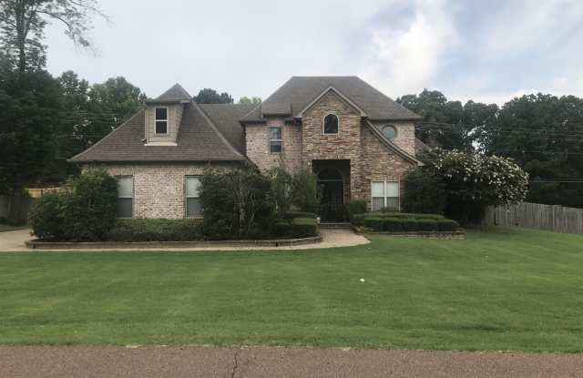 8646 Whites Crossing Dr - 8646 Whites Crossing, DeSoto County, MS 38654
