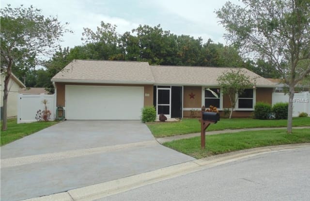 396 WALNUT COURT - 396 Walnut Court, Palm Harbor, FL 34683