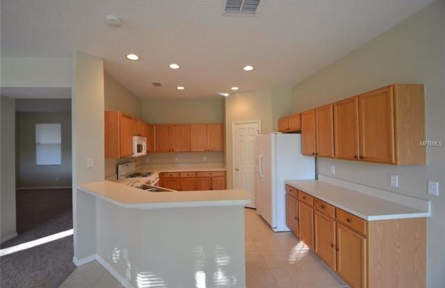 2404 SPRING HOLLOW LOOP Gallery 4