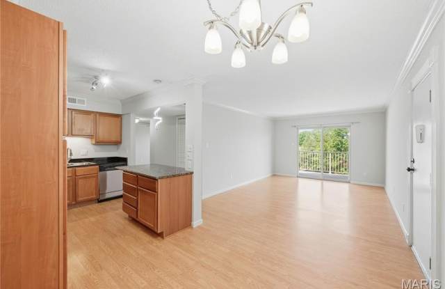 1411 Willow Brook Cove Gallery 3