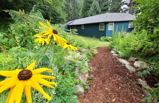 1462 Wind Mountain Road Gallery 4