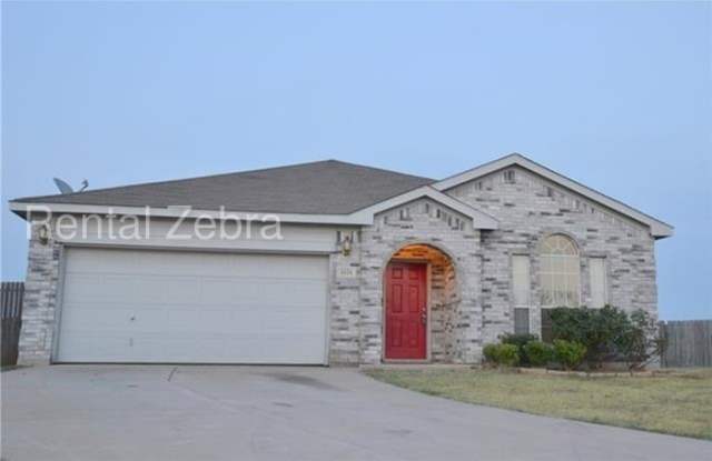 1121 McKavett Drive - 1121 Mckavett Dr, Fort Worth, TX 76140