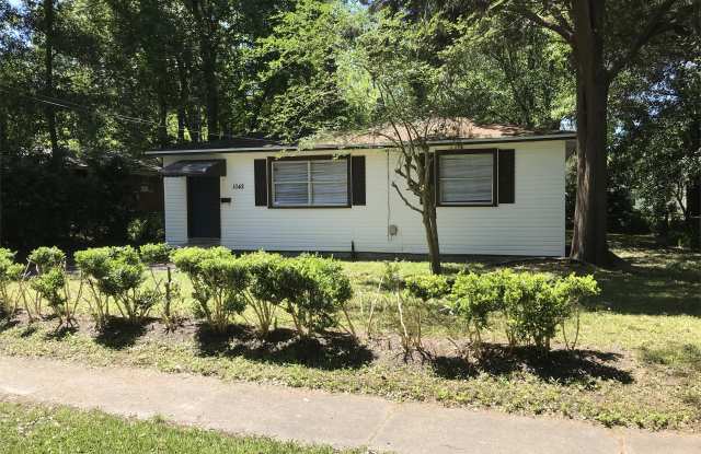 1042 Detroit Street - 1042 Detroit Street, Jacksonville, FL 32254